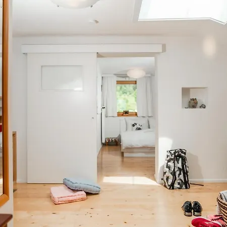 Alpin Reinhard Tritscher 公寓 拉姆绍达赫斯坦